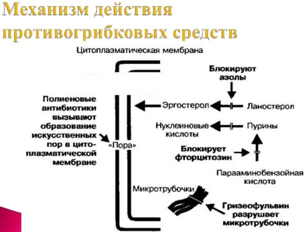 Свечи противогрибковые в гинекологии недорогие. Названия, цены