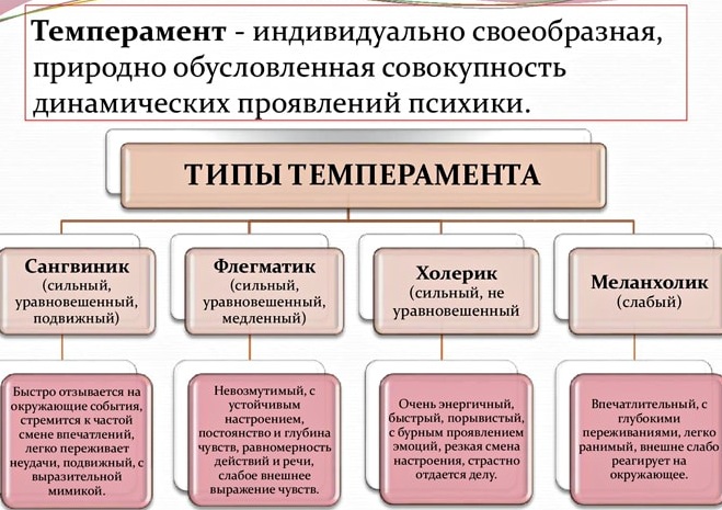 Темперамент это в психологии: определение кратко, виды, тест, характер, деятельность. Презентация