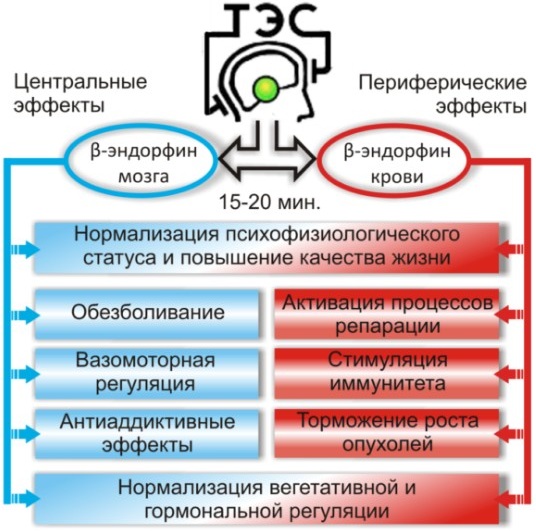 Трансаир. Показания и противопоказания, инструкция, где купить аппарат, производитель, цена