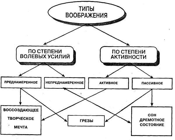 Воображение в психологии. Виды, что это такое, определение, свойства, функции, классификация, примеры, нарушения