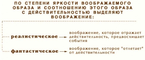 Воображение в психологии. Виды, что это такое, определение, свойства, функции, классификация, примеры, нарушения