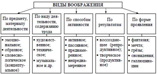 Воображение в психологии. Виды, что это такое, определение, свойства, функции, классификация, примеры, нарушения