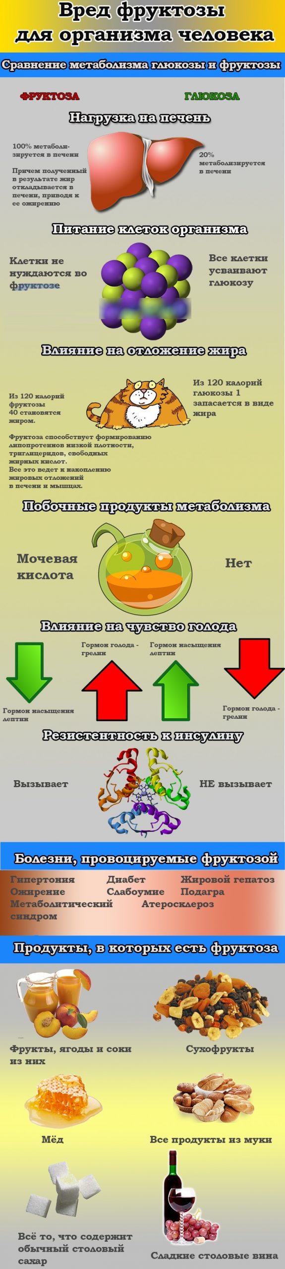 Заменители сахара натуральные. Список лучших, противопоказания для диабетиков, польза, вред, сиропы, в таблетках