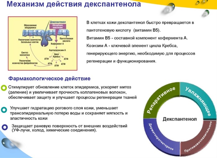 Бепантен плюс (Bepanthen plus) мазь. Цена, инструкция по применению, аналоги