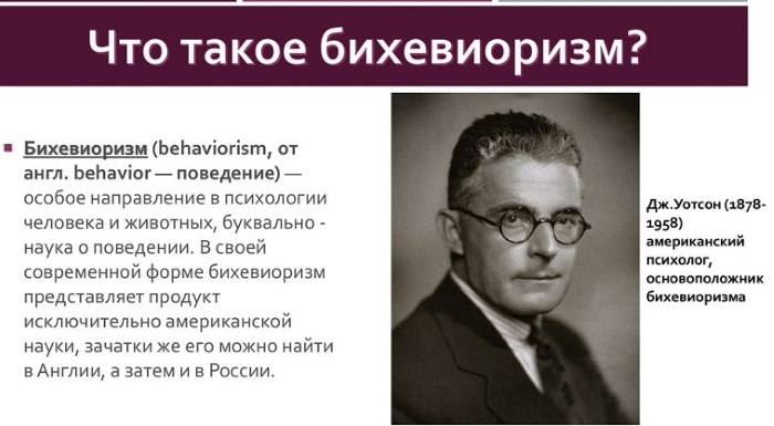 Бихевиоризм в психологии. Что это такое, представители, методы, определение, схема