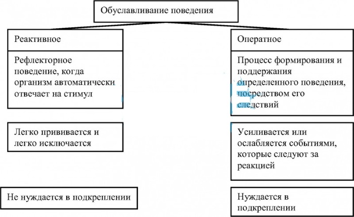 Бихевиоризм в психологии. Что это такое, представители, методы, определение, схема