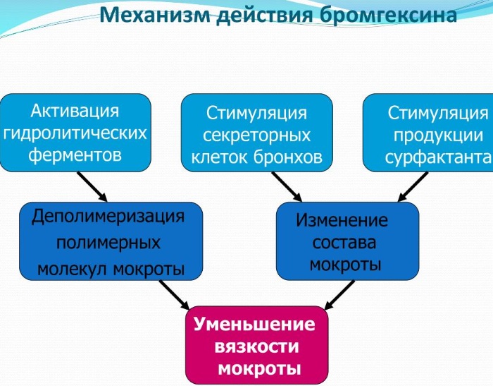 Бромгексин (Bromhexine) таблетки для детей, взрослым. Инструкция по применению, цена