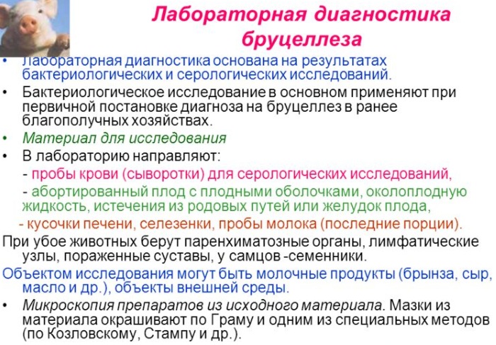 На вашем участке выявлен больной острым бруцеллезом представьте план мероприятий в очаге бруцеллеза