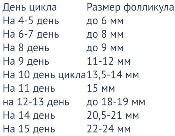 Доминантный фолликул. Что это такое, каких размеров должен быть по дням цикла, УЗИ