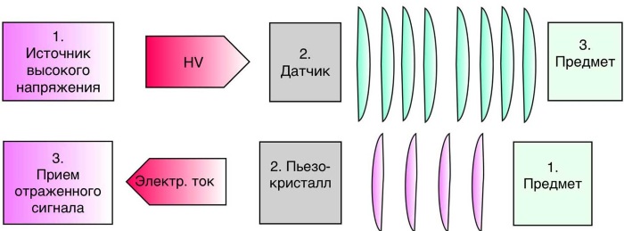 Что такое эхокардиография сердца как делают женщинам фото