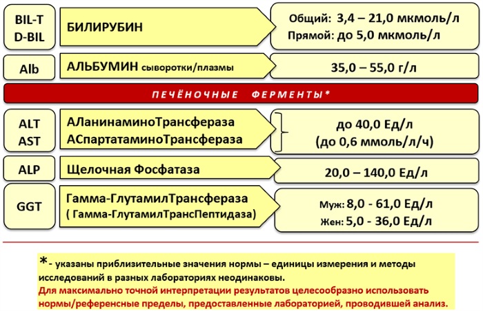 Тошнит желчью. Что делать, причины после алкоголя, еды, по утрам, при беременности, лечение