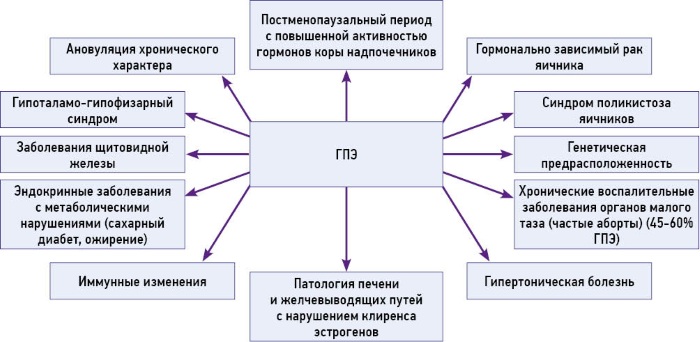 ГПЭ в гинекологии. Что это такое, симптомы, лечение гормонами, народными средствами, причины, последствия