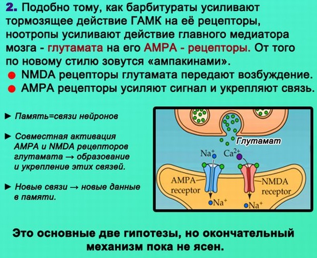 Ноотропное действие. Что это значит, современные препараты, список лекарств