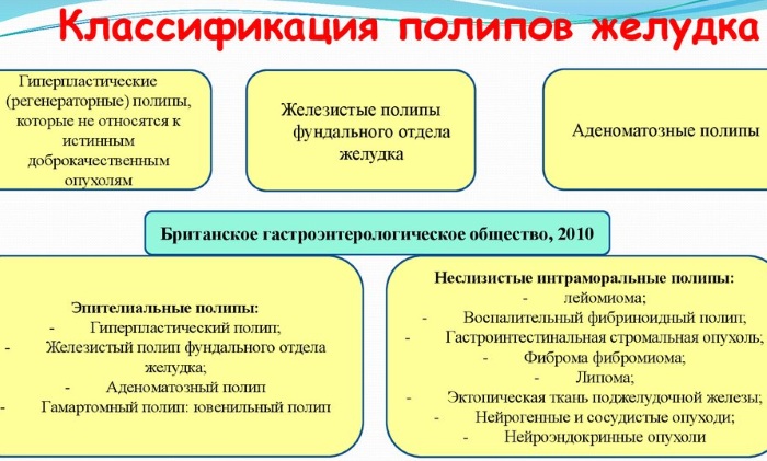 Полип в желудке. Симптомы, причины, чем опасен, диета, лечение народными средствами, психосоматика