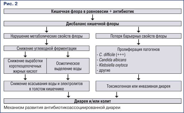 Псевдомембранозный колит (ПМК). Симптомы, лечение, диагностика, клинические рекомендации