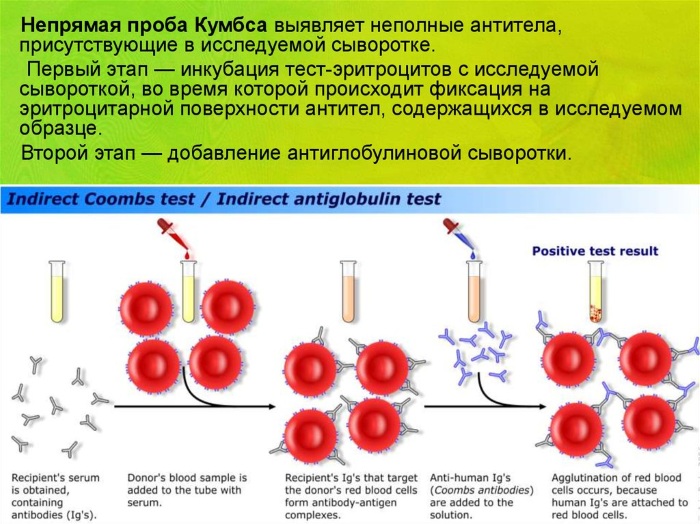 Цефазолин (Cefazolin) уколы. Цена, инструкция, чем разводить, от чего лечит