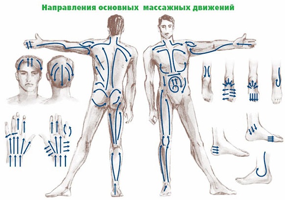 Застой лимфы в организме. Симптомы, причины, лечение народными средствами