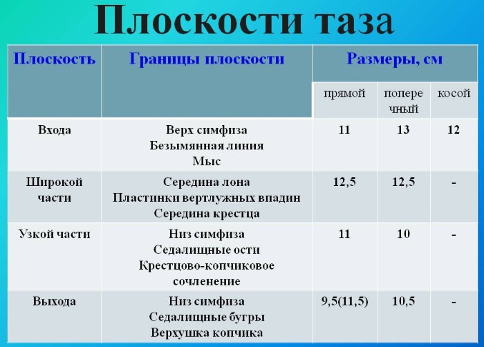 Женский таз в акушерстве. Строение, размеры, плоскости, нормы, отличия от мужского, фото