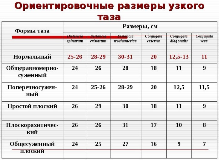 Женский таз в акушерстве. Строение, размеры, плоскости, нормы, отличия от мужского, фото