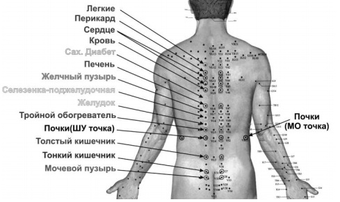 Аппликатор Ляпко. Инструкция по применению, цена, отзывы