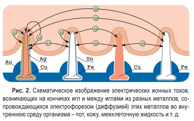 Аппликатор Ляпко. Инструкция по применению, цена, отзывы