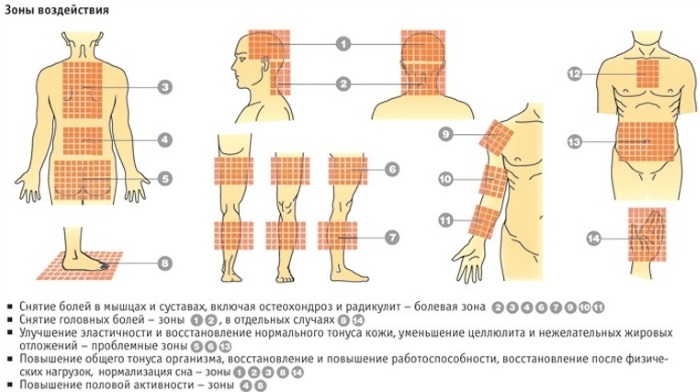 Аппликатор Ляпко. Инструкция по применению, цена, отзывы