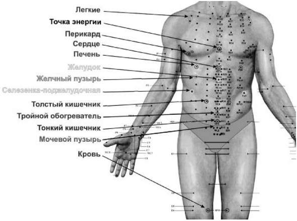 Аппликатор Ляпко. Инструкция по применению, цена, отзывы