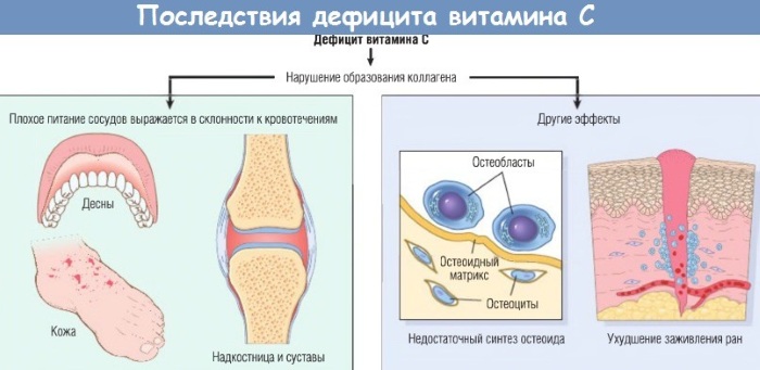 Арнебия Витамин C (Arnebia Vitamin C). Инструкция по применению, цена, отзывы