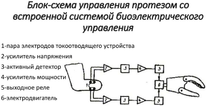 Бионический протез руки. Цены, как работают, где купить, изготовители