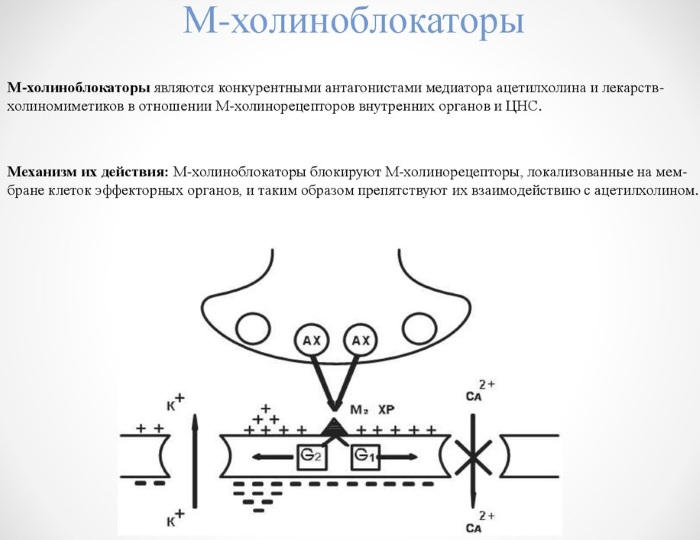 Цикломед (Cyclomed) глазные капли. Инструкция по применению, цена, отзывы, аналоги