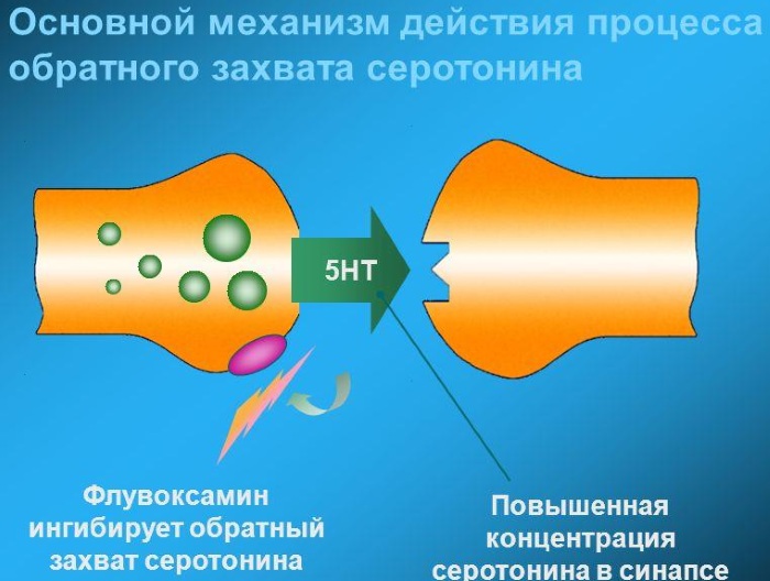 Феварин (Fevarin). Инструкция по применению, отзывы пациентов