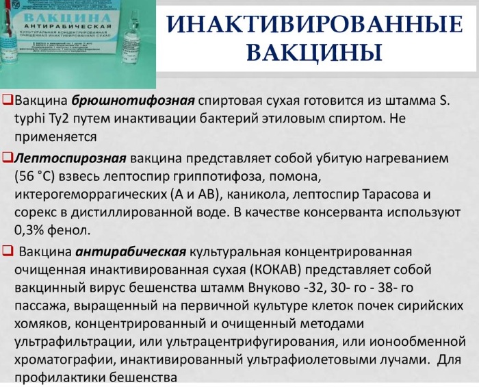 Инактивированная (убитая) вакцина. Что это, инструкция, названия, где купить