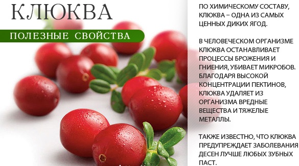 Что разжижает кровь: чем, как расжижать в домашних условиях. Аспирин, Парацетамол, лимон, чеснок, сода и другие средства