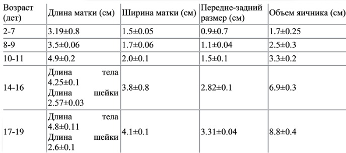 Матка у женщин. Где находится, строение, размер, фото, анатомия, болезни