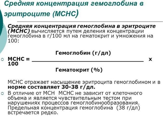 MCHC в анализе крови понижен у взрослого, женщин, ребенка. Причины, что значит