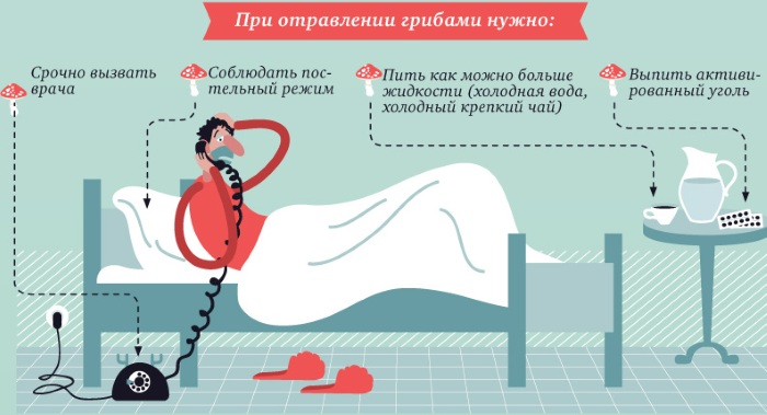 Отравление грибами: симптомы и признаки, диагностика, лечение в стационаре, реанимации, народными средствами. Первая помощь