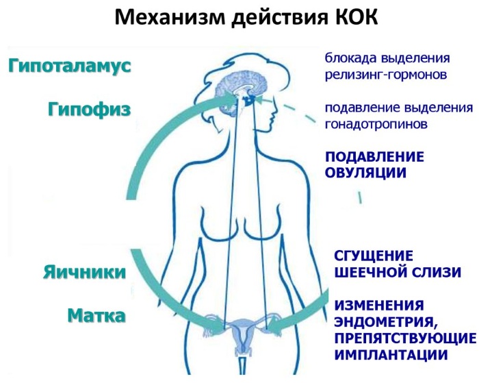 Диане-35 (Diane-35). Инструкция по применению, отзывы, цена