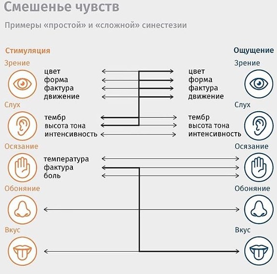 Сенсибилизация в психологии. Что это такое, определение, примеры, механизмы