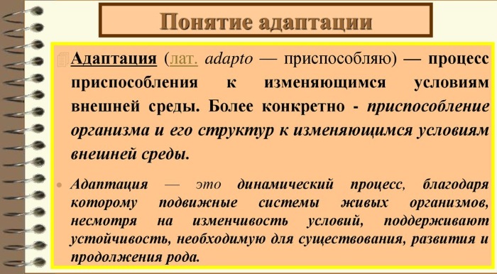 Сенсибилизация в психологии. Что это такое, определение, примеры, механизмы