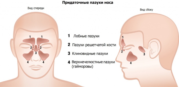 Субтотальное затемнение верхнечелюстных пазух что это такое. Смотреть фото Субтотальное затемнение верхнечелюстных пазух что это такое. Смотреть картинку Субтотальное затемнение верхнечелюстных пазух что это такое. Картинка про Субтотальное затемнение верхнечелюстных пазух что это такое. Фото Субтотальное затемнение верхнечелюстных пазух что это такое