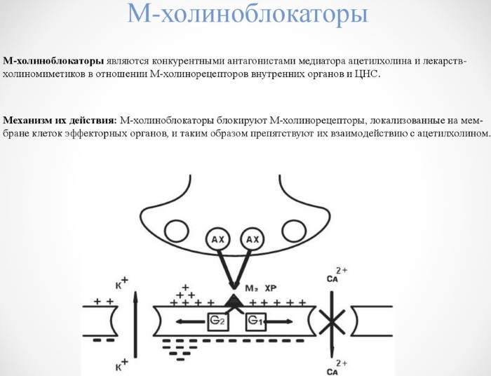 Тропикамид (Tropicamidum) глазные капли. Инструкция по применению отзывы, цена