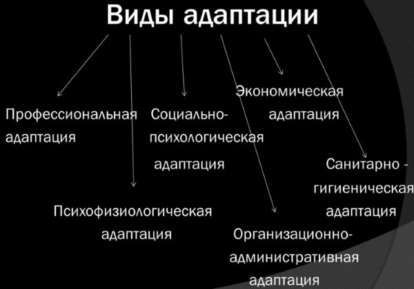 Адаптация. Что это в психологии, примеры, виды и формы