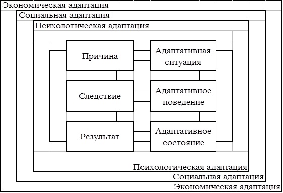 Адаптация. Что это в психологии, примеры, виды и формы