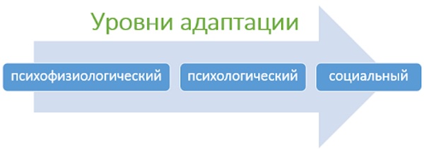 Адаптация. Что это в психологии, примеры, виды и формы