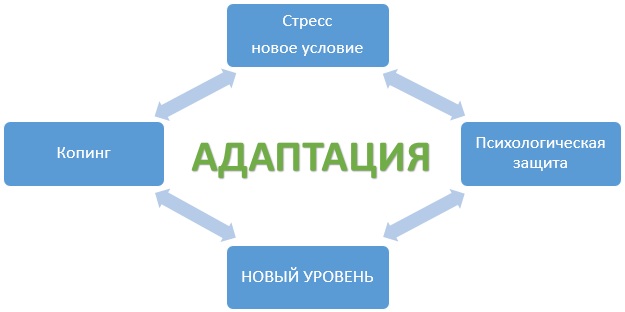 Адаптация. Что это в психологии, примеры, виды и формы