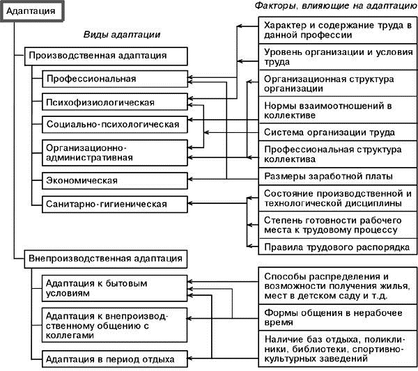 Адаптация. Что это в психологии, примеры, виды и формы