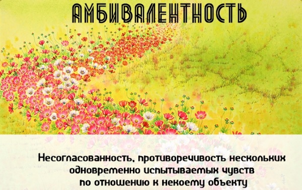 Амбивалентность в психологии. Что это такое: чувств, эмоций, поведения, что означает, примеры