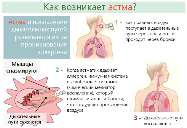 Что отражает показатель so2