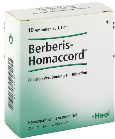 Берберис (Berberis) гомеопатия. Инструкция, показания к применению, цена, отзывы