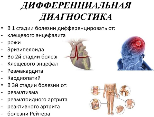 Болезнь лайма карта вызова смп